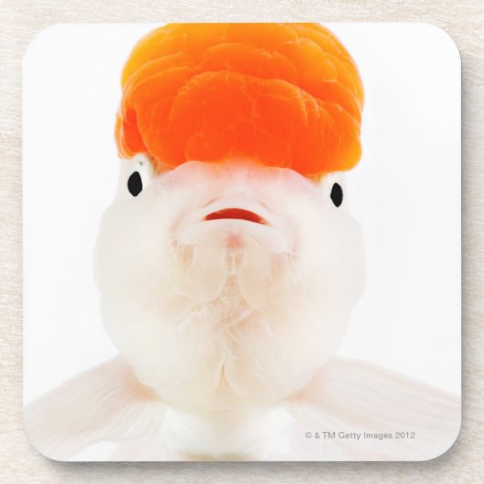 Goudvis (Carassius auratus) Drankjes Onderzetter (Voorkant)