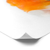 Goudvis (Carassius auratus) Poster (Hoek)