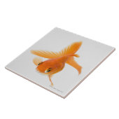 Goudvis (Carassius auratus) Tegeltje (Zijkant)