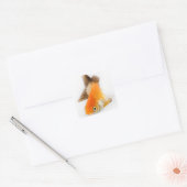 Goudvis (Carassius auratus) Vierkante Sticker (Envelop)