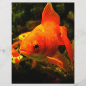 goudvis flyer (Voorkant)