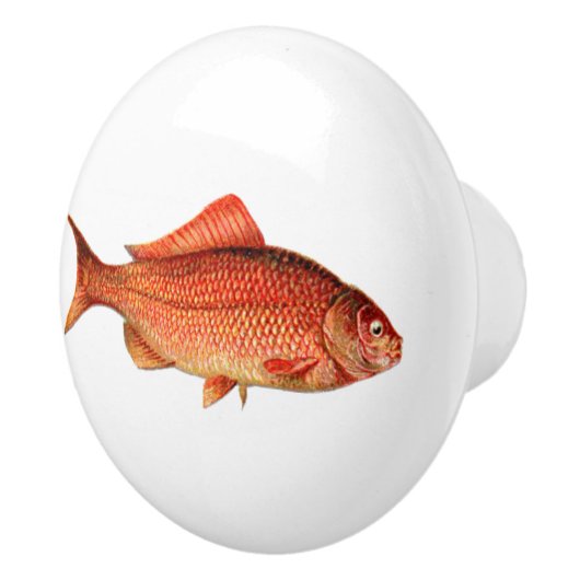 goudvis / goudvis keramische knop (Rechts)