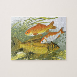 goudvis Koi Fish, Marine Zee Life Legpuzzel