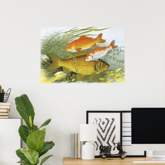 goudvis Koi Fish, Marine Zee Life Poster (Thuiskantoor)