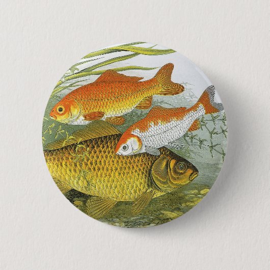 goudvis Koi Fish, Marine Zee Life Ronde Button 5,7 Cm (Voorkant)