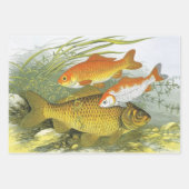  goudvis Koi vis, mariene aquatisch Zee leven Inpakpapier Vel (Voorkant 3)