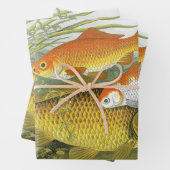  goudvis Koi vis, mariene aquatisch Zee leven Inpakpapier Vel (In situ)