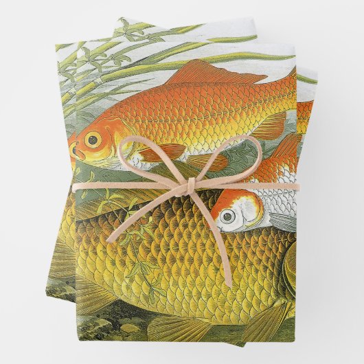  goudvis Koi vis, mariene aquatisch Zee leven Inpakpapier Vel (In situ)