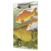 goudvis Koi vis, mariene aquatisch Zee leven Klembord (Links)