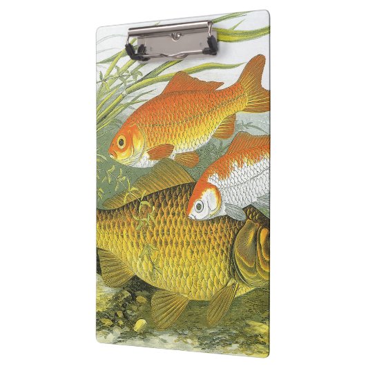 goudvis Koi vis, mariene aquatisch Zee leven Klembord (Links)
