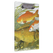 goudvis Koi vis, mariene aquatisch Zee leven Klembord (Rechts)