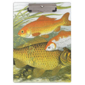 goudvis Koi vis, mariene aquatisch Zee leven Klembord (Voorkant)