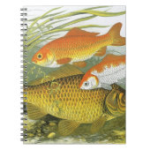  goudvis Koi vis, mariene aquatisch Zee leven Notitieboek (Voorkant)