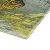  goudvis Koi vis, mariene aquatisch Zee leven Snijplank (Hoek)