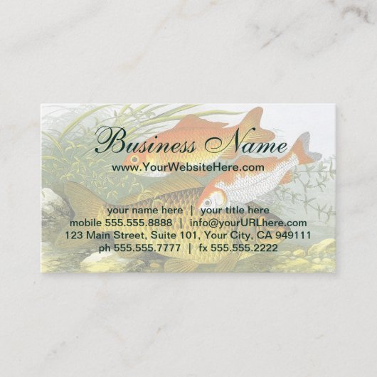  goudvis Koi vis, mariene aquatisch Zee leven Visitekaartje (Voorkant)