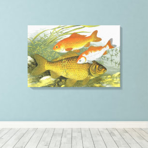 Goudvis Koi Vis, Vintage Mariene Aquatische Zeelev Canvas Afdruk