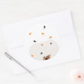 Goudvis Kom Stickerstickers Ronde Sticker (Envelop)