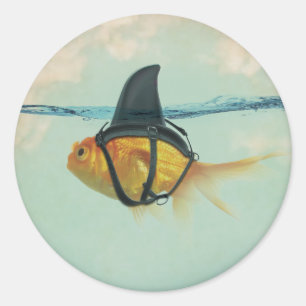 Goudvis met een haaienstaart ronde sticker