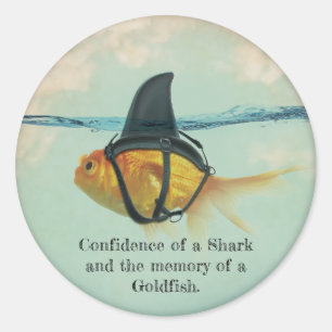 Goudvis met Shark Fin Confetti Ronde Sticker