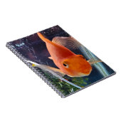 goudvis notitieboek (Rechterzijde)