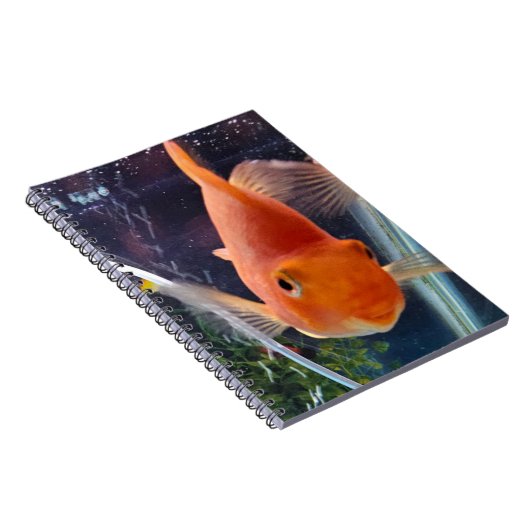 goudvis notitieboek (Rechterzijde)