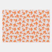 Goudvis op grijs papierpakket met onmiddellijke ve inpakpapier vel (Voorkant 3)