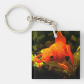 goudvis sleutelhanger (Voorkant)