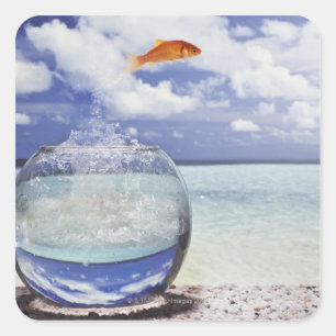 goudvis sprong vierkante sticker