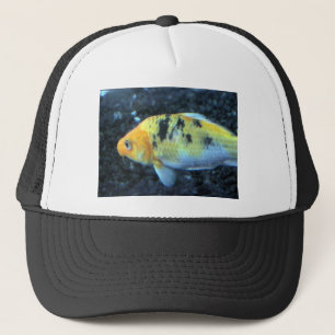 Goudvis Trucker Pet