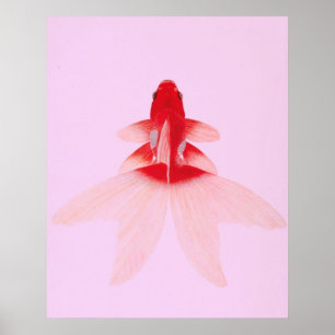 goudvis Wallart Poster