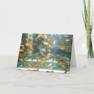 "Goudvis" Wenskaart Beterschap Kaart