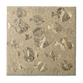 Goudviskeramische Tegel Tegeltje (Voorkant)