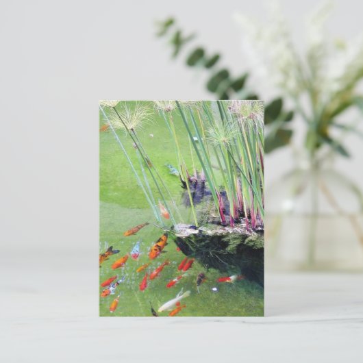 Goudvissen Briefkaart (Staand voorkant)