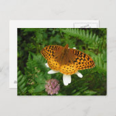 Goudvlinder Briefkaart (Voorkant / Achterkant)