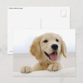 Goudwaluw Briefkaart (Voorkant / Achterkant)