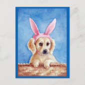 Goudwaluw Briefkaart (Voorkant)