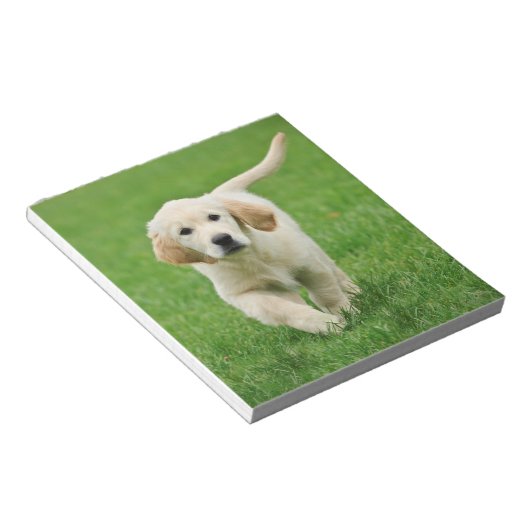 Goudwaluw Notitieblok (Schuin)