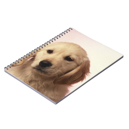 Goudwaluw Notitieboek (Linkerzijde)