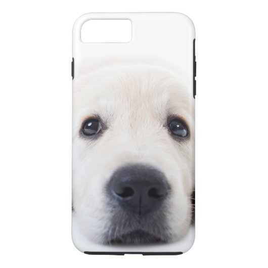 Goudwaluw, schattige puppy liggen neer Case-Mate iPhone case (Achterkant)