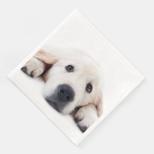 Goudwaluw, schattige puppy liggen neer servet (Hoek)