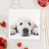 Goudwaluw, schattige puppy liggen neer servet (Insitu)