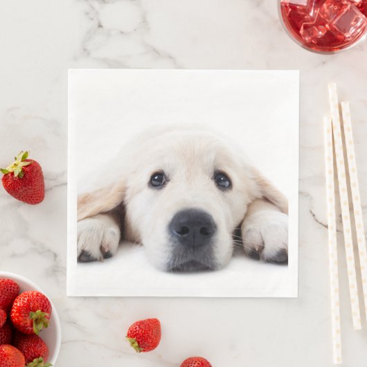 Goudwaluw, schattige puppy liggen neer servet (Insitu)