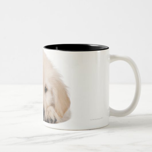 Goudwaluw Tweekleurige Koffiemok (Rechts)