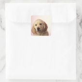 Goudwaluw Vierkante Sticker (Tas)