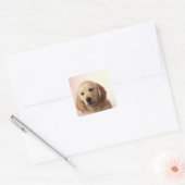Goudwaluw Vierkante Sticker (Envelop)