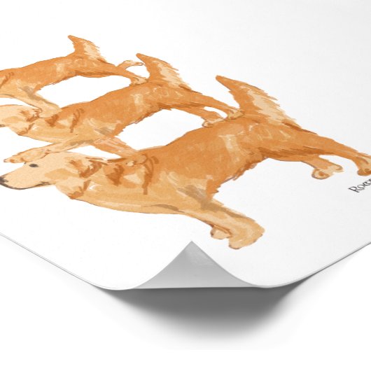 Goudwalvis Poster (Hoek)