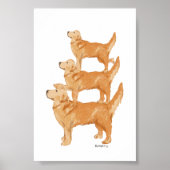 Goudwalvis Poster (Voorkant)