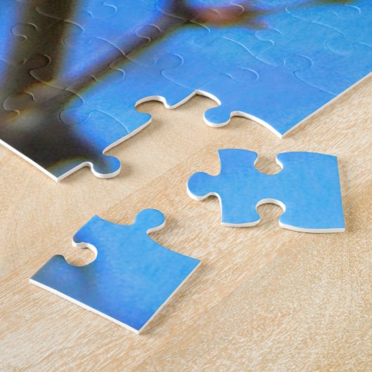 Goudwever, Zuid-Afrika Legpuzzel (Zijkant)