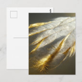 Goudwitte veren briefkaart (Voorkant / Achterkant)