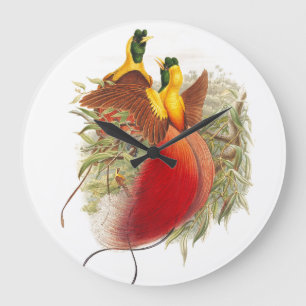 Gould Birds of Paradise Wall Clock Grote Klok